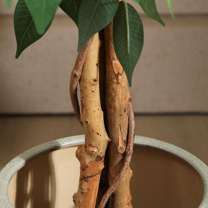 Kunstpflanze Ficusbaum 180 cm - Große Künstliche Pflanzen