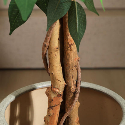 Kunstpflanze Ficusbaum 120 cm groß Naturholzstamm Büro Zuhause deco