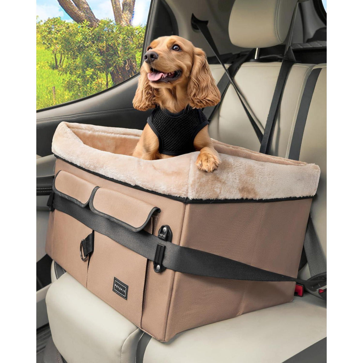 Hunde Autositz für Rückbank – Bequem & Sicher (M)