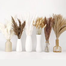 Pampasgras Deko Set Trockenblumen Natur Weiß Bouquet