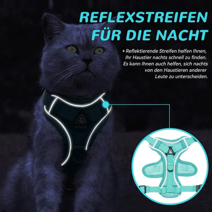 Ausbruchsicheres Katzengeschirr mit Leine, Mintgrün S