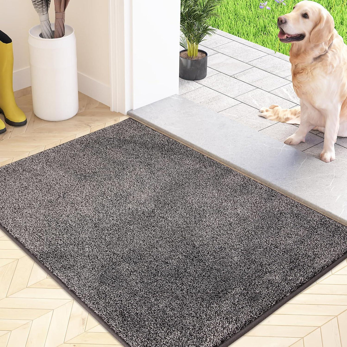 Schmutzfangmatte Innen rutschfeste 50 x 80 cm Fußmatte Hellgrau