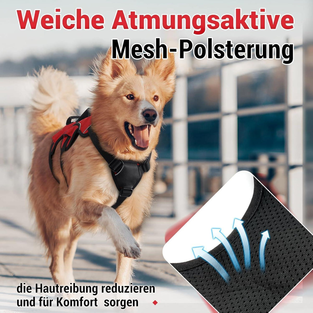 Ausbruchsicheres Hundegeschirr mit Griff, Rot M