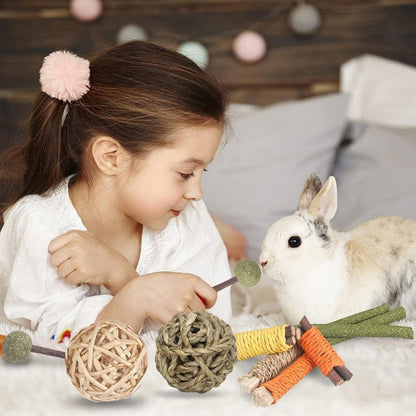 Kaninchen Meerschweinchen Hamster Hasen Spielzeug 18 Stück Timothy