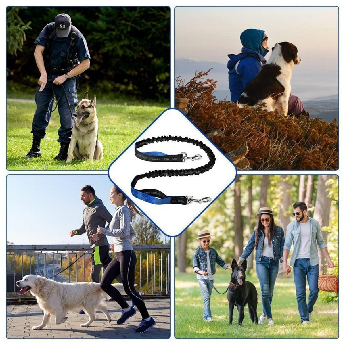 Bungeeleine für Hunde – Reflektierend & Stoßdämpfend 120-150cm