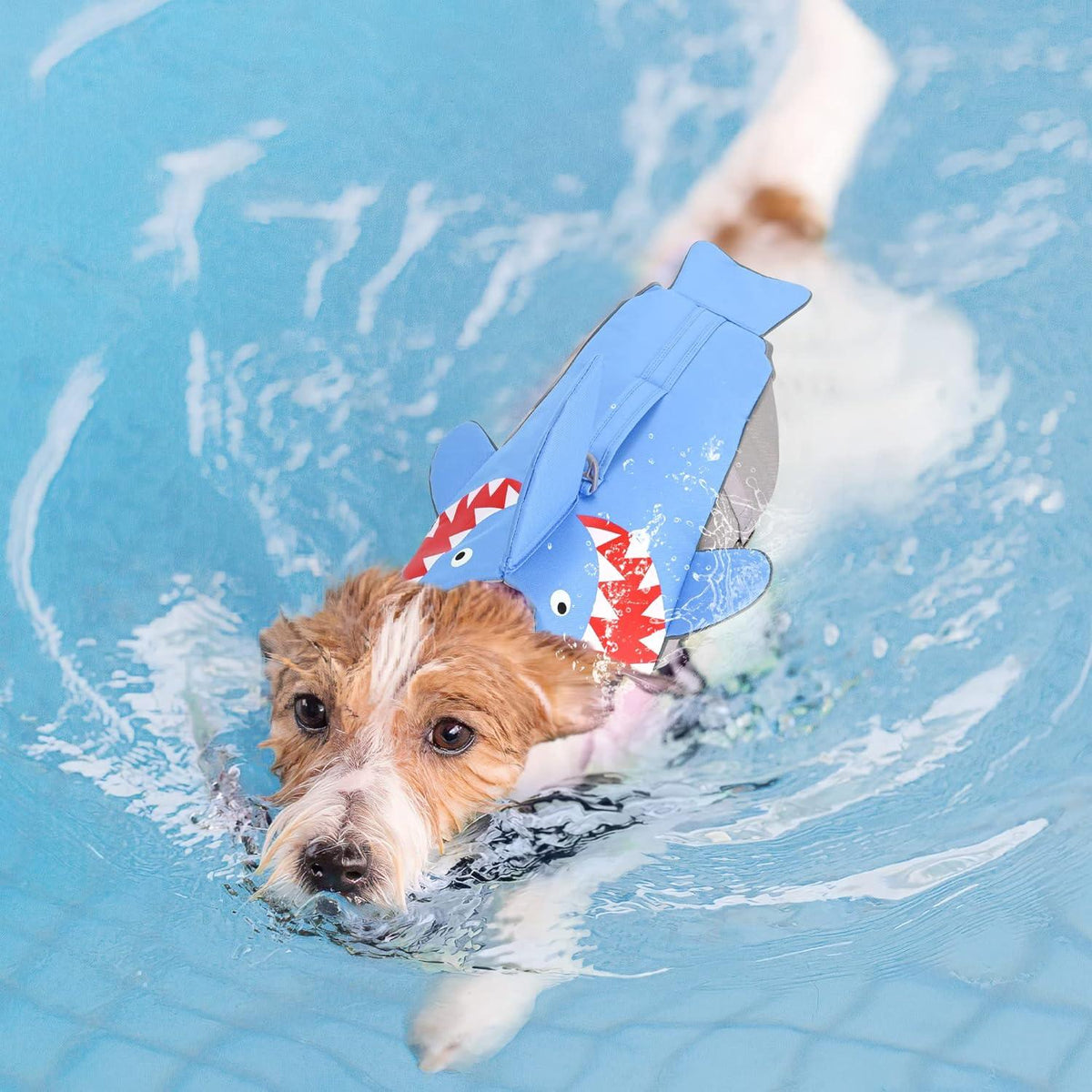 Schwimmweste Hund Hai mit Griff und Reflektierend M Blau