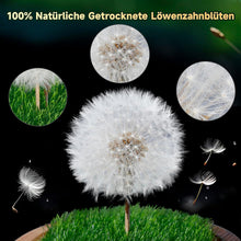Engel Pusteblume im Glas Geschenk Frauen Geburtstag