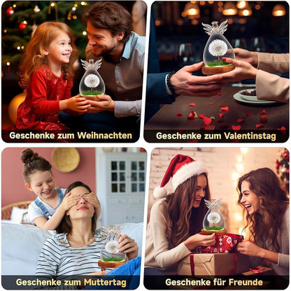 Engel Pusteblume im Glas Geschenk Frauen Geburtstag