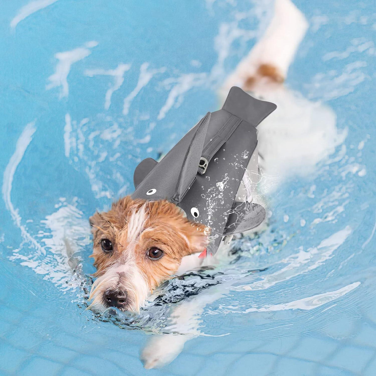 Schwimmweste Hund Hai Schwimmen Bootfahren für Kleine Mittlere Große