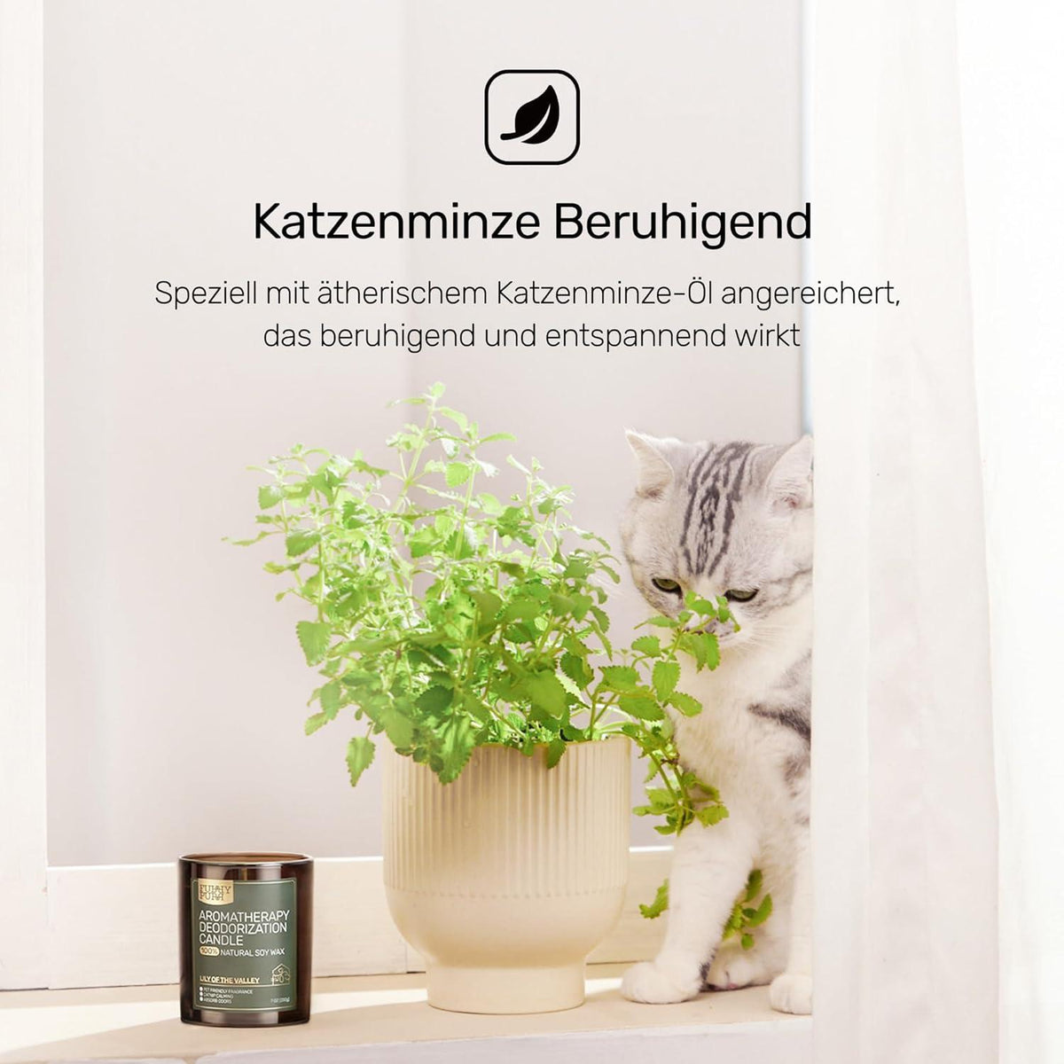 Furry Purr Duftkerze für Hunde & Katzen Lavendel-Zeder Duft 200g