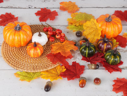 Herbst Deko Set 162-teilig Ahornblätter Kürbisse Eicheln Zapfen Beeren