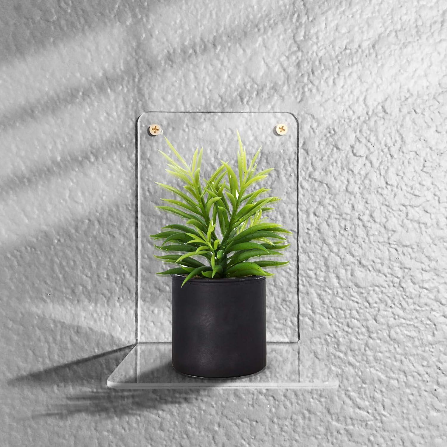 Deefongo Acryl Buchständer Transparente Buchstützen 2er Pack 18cm 12cm