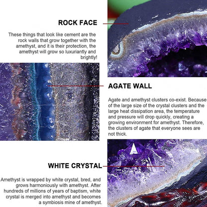 Amethyst-Kristallcluster Geode 1.76lbs Heilkristalle Dekor