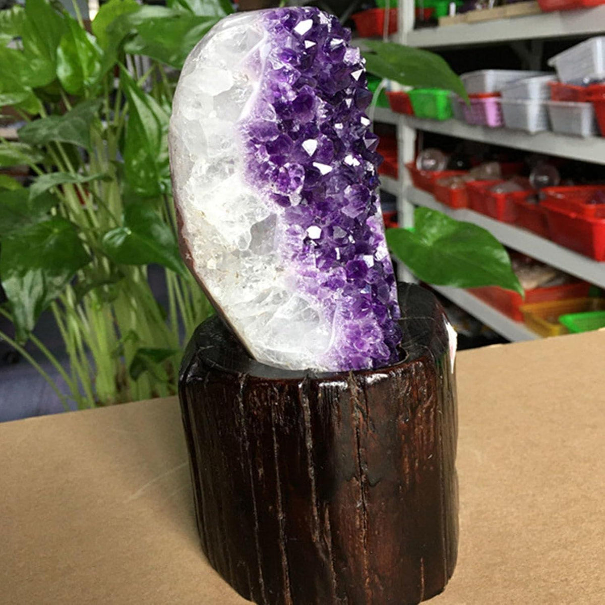 Amethyst Cluster Exemplarstein für Heimdeko, 2.2lbs