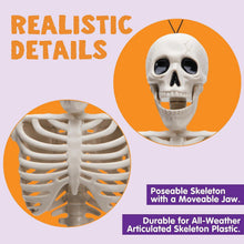 Halloween Skelette Set für Dekorationen, 40.6 cm, Bewegliche
