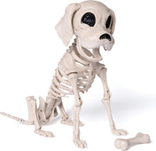 JOYIN Posable Halloween Hund Skelett Dekoration 25cm