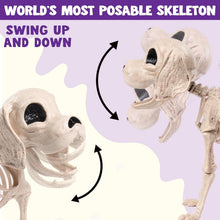 JOYIN Posable Halloween Hund Skelett Dekoration 24.8cm x