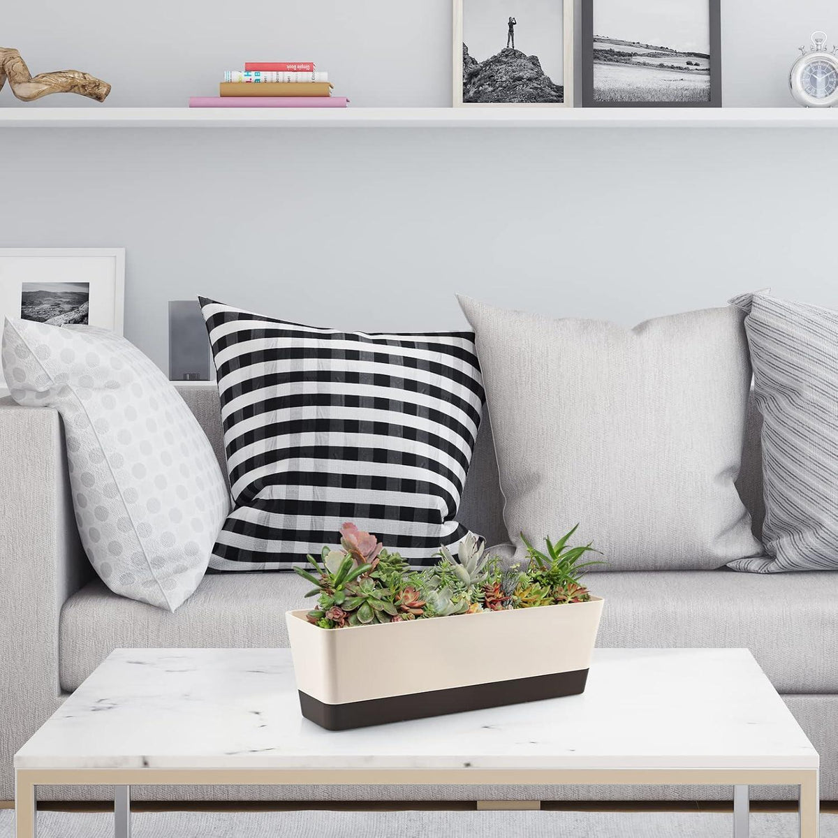 3er Set rechteckige Blumenkästen 42,4 cm Kunststoff für Sukkulenten