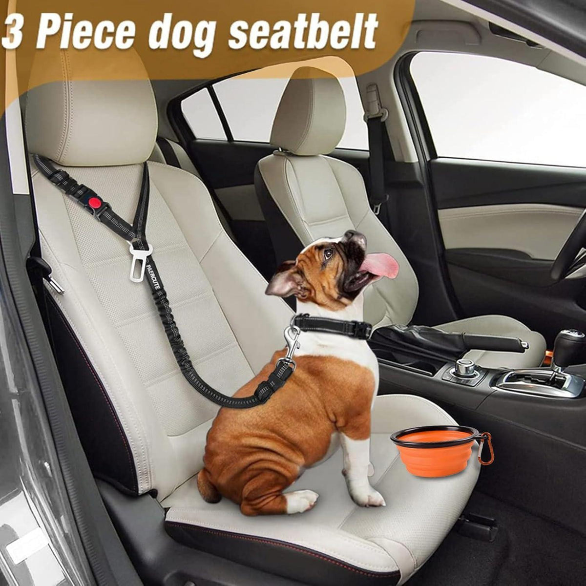 Hundesicherheitsgeschirr & Napf Set für Auto – 1+1