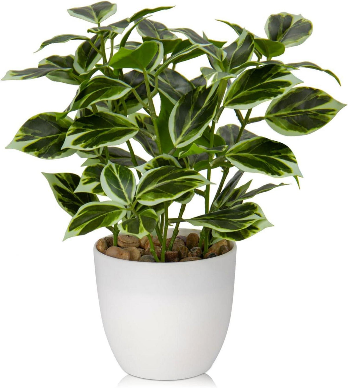 Kunstpflanze Künstliche Ficus Pflanze Dekopflanze Fensterbank