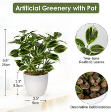 Kunstpflanze Ficus Deko Topf grün weiß 25cm - Fensterbank