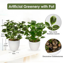 Dekopflanze Kunstpflanze Ficus im Topf 25 cm 2er Set