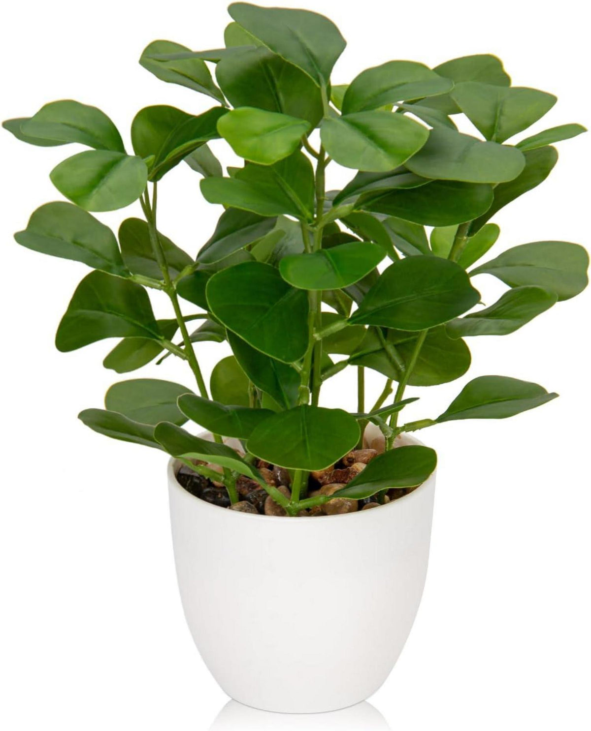 Kunstpflanze Ficus Dekopflanze Fensterbank Grün