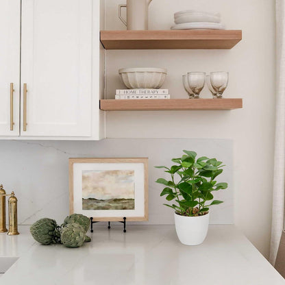 Dekopflanze Ficus Kunstpflanze für Fensterbank Wohnzimmer Badezimmer