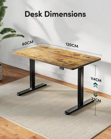 FEZIBO Elektrischer Schreibtisch 120 x 60 cm
