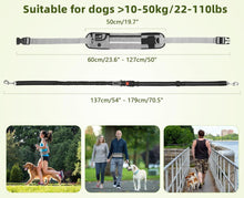 Pecute Joggingleine Hunde mit Bauchgurt und reflektierenden