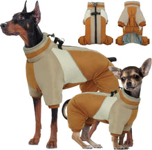 Wasserdichter Hundemantel für kleine Hunde mit Geschirr, Wintermantel