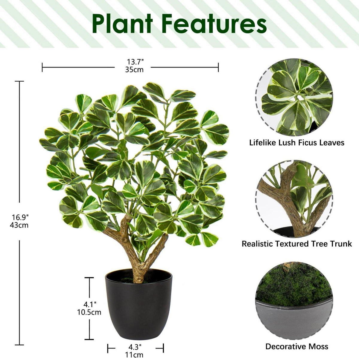 Kunstpflanze Ficus 43CM Schwarz Topf Deko Fensterbank