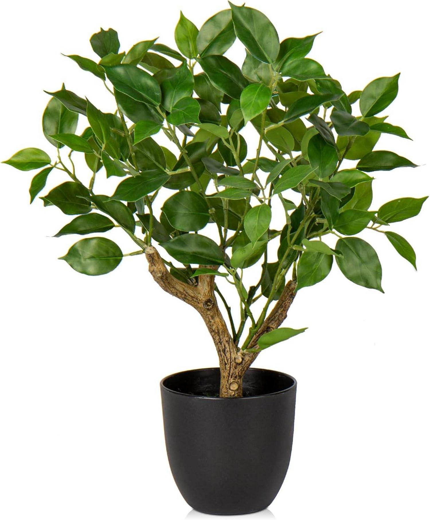 Kunstpflanze Ficus Schwarzem Topf Dekopflanze Fensterbank Grün