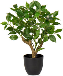 Kunstpflanze Ficus Schwarzem Topf Dekopflanze Fensterbank Grün