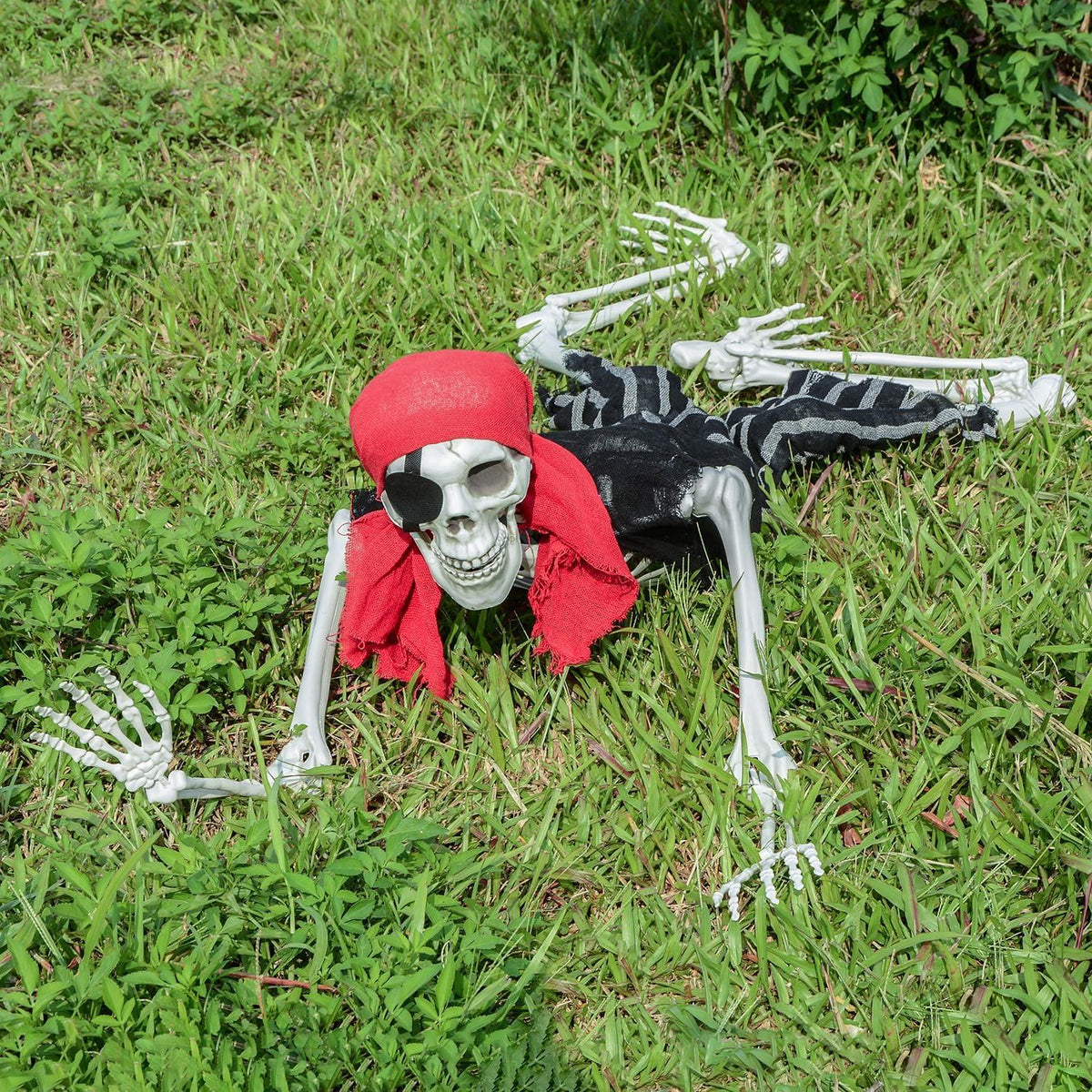 165cm Halloween lebensgroßes Skelett Ganzkörper Bewegliche Gelenke Piraten-Deko