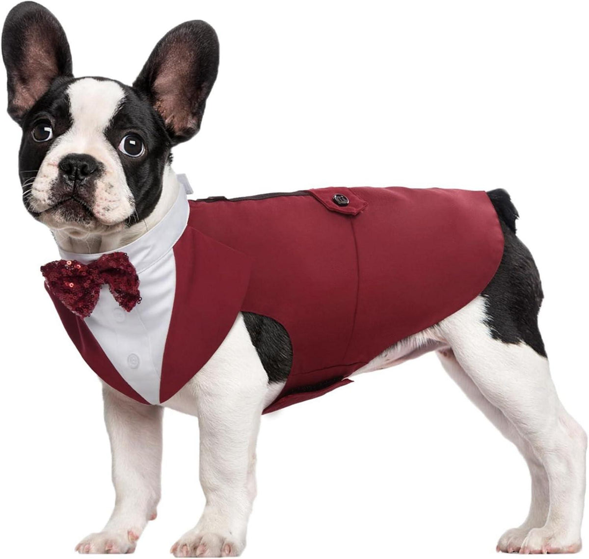 Hund Smoking Anzug mit Bandana Set Hochzeit Halloween Party S-XL