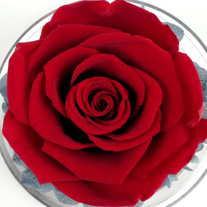 Engel Figur Ewige Rose Geschenk Mama Spruch Best Mama Galaxie