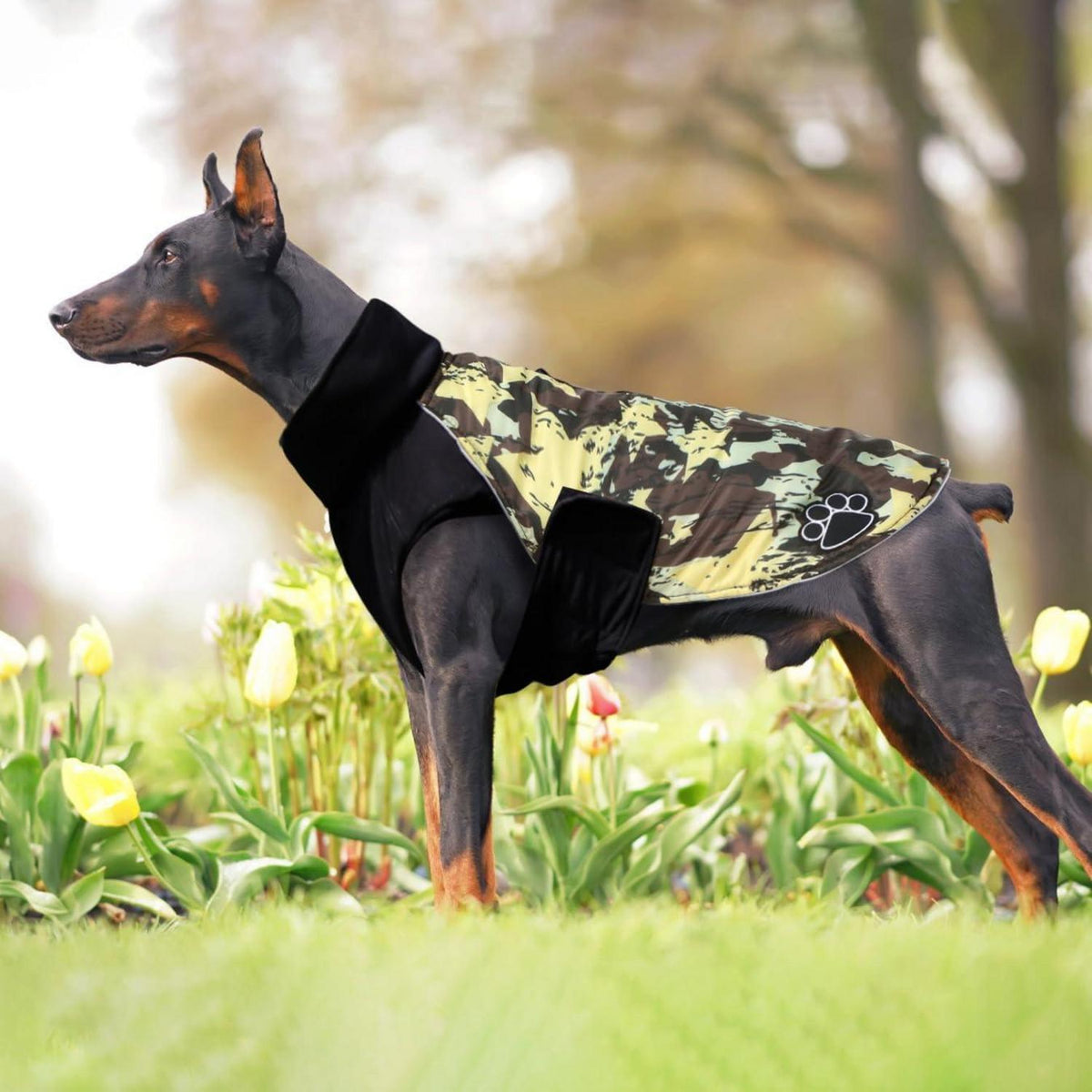 Hundemantel für große Hunde Winter wasserdicht reflektierend XXXL