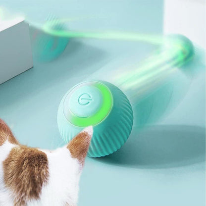 Katzenspielzeug Elektrisch mit LED Licht Interaktiver Ball USB wiederaufladbar