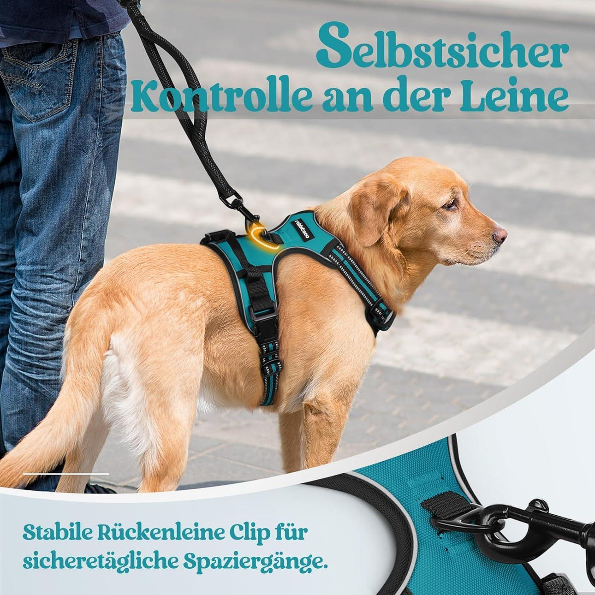 Hundegeschirr Anti Zug mit Griff, Blaugrün L