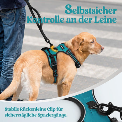 Hundegeschirr Anti Zug mit Griff, Blaugrün L