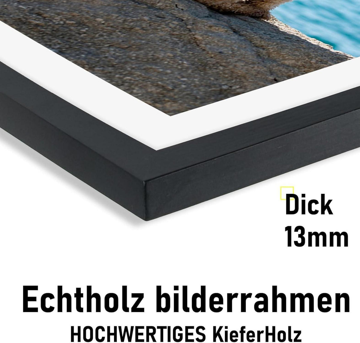 Kollyseek Bilderrahmen 30x40cm Echtholz Acrylglas Kieferholz