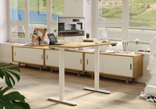 Höhenverstellbarer Schreibtisch 160x60 cm Elektrisch