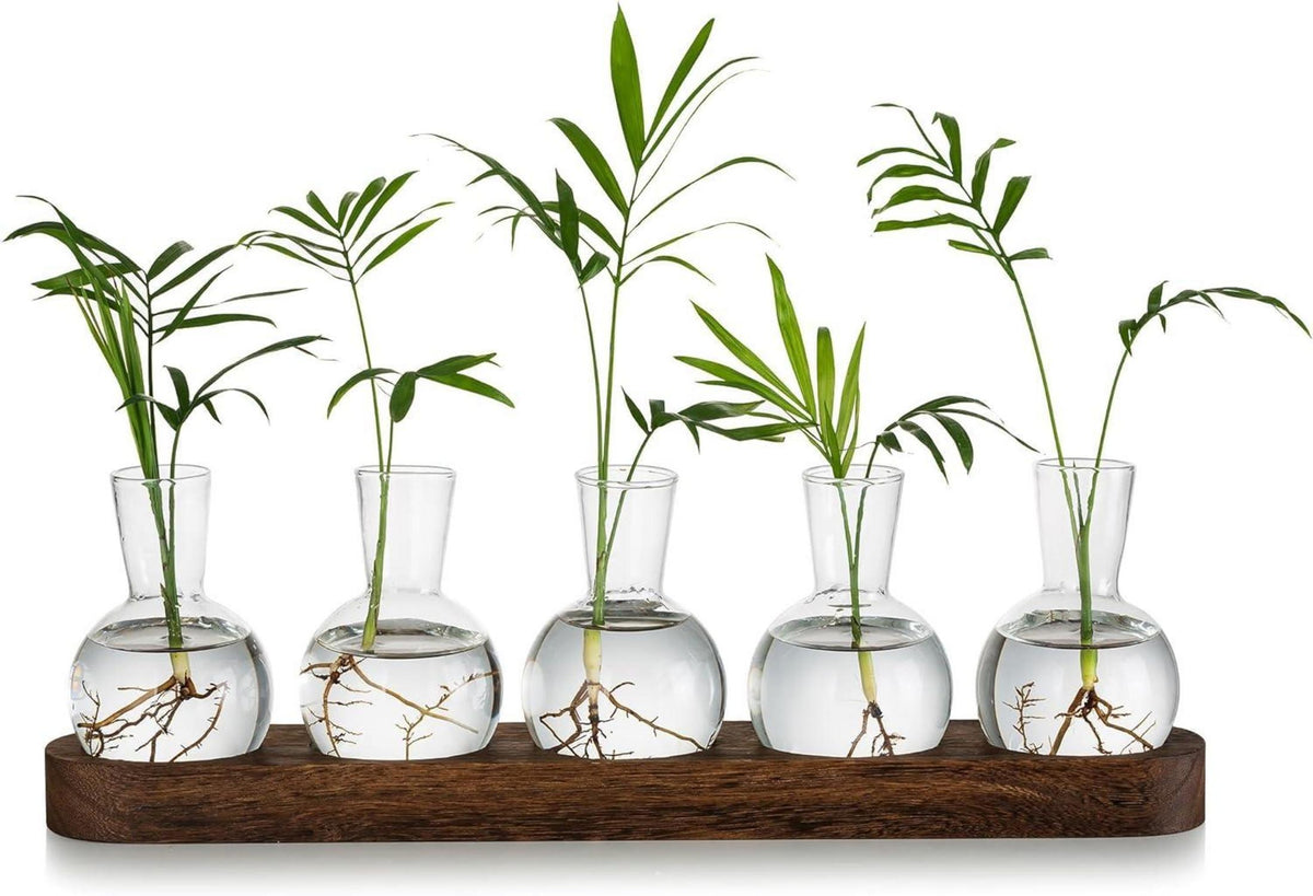Mini Glas Terrarium Set Hydrokultur Vase Holztablett Kreativ96