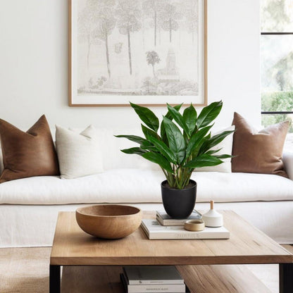 Künstliche Calathea Pflanze Kunstblatt mit 22 Blättern, 43cm