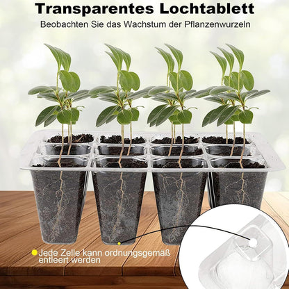 Zimmergewächshaus Anzucht Gewächshaus 10 Stk 120 Zellen Set