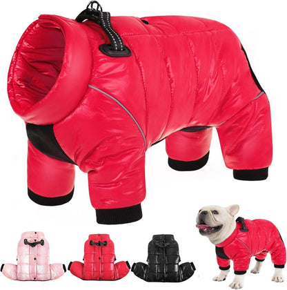 Wasserdichter Hundemantel Winterjacke für kleine Hunde Rot