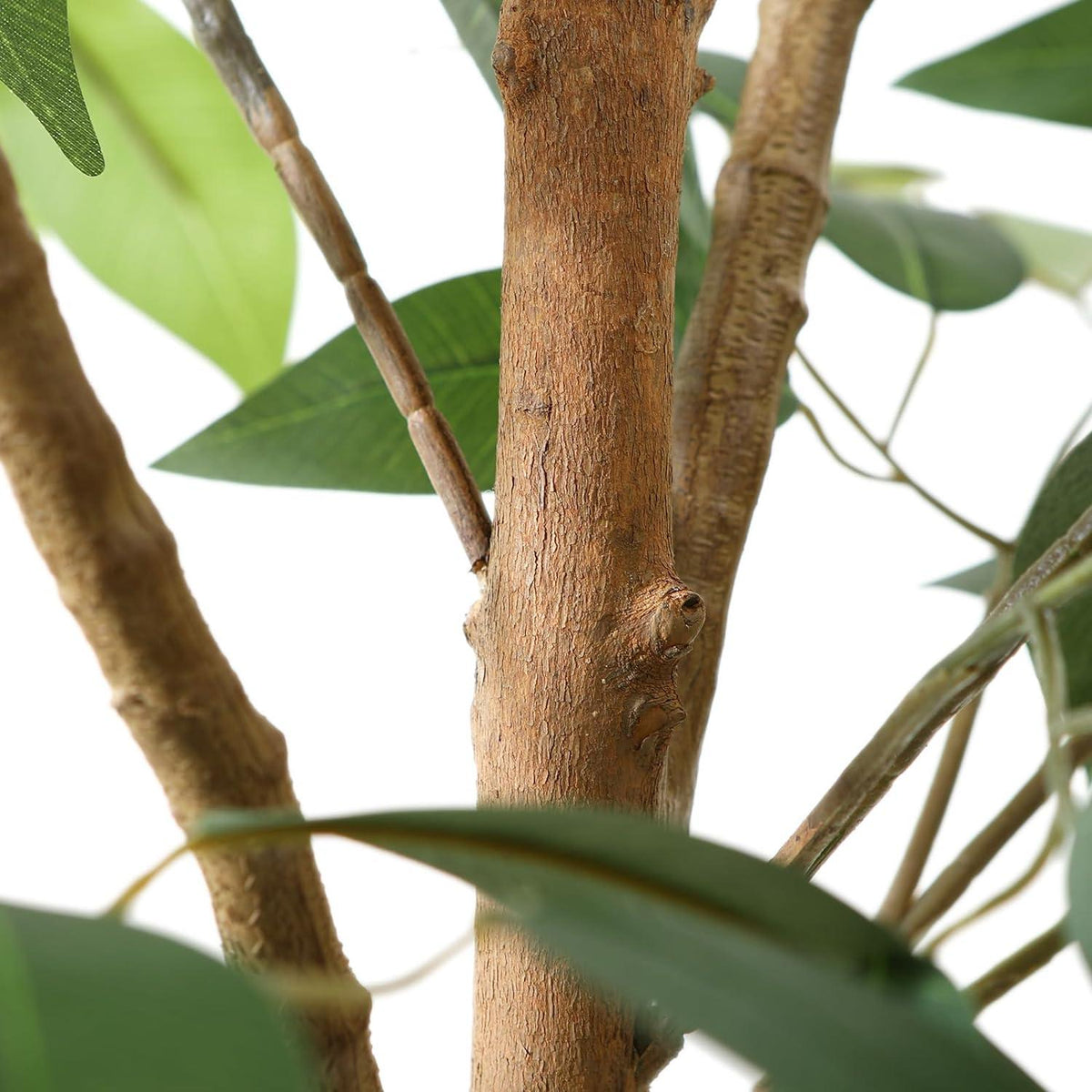 Künstliche Ficus Benjamina Groß 210cm Naturholzstamm im Topf ideal für Zuhause Büro Balkon