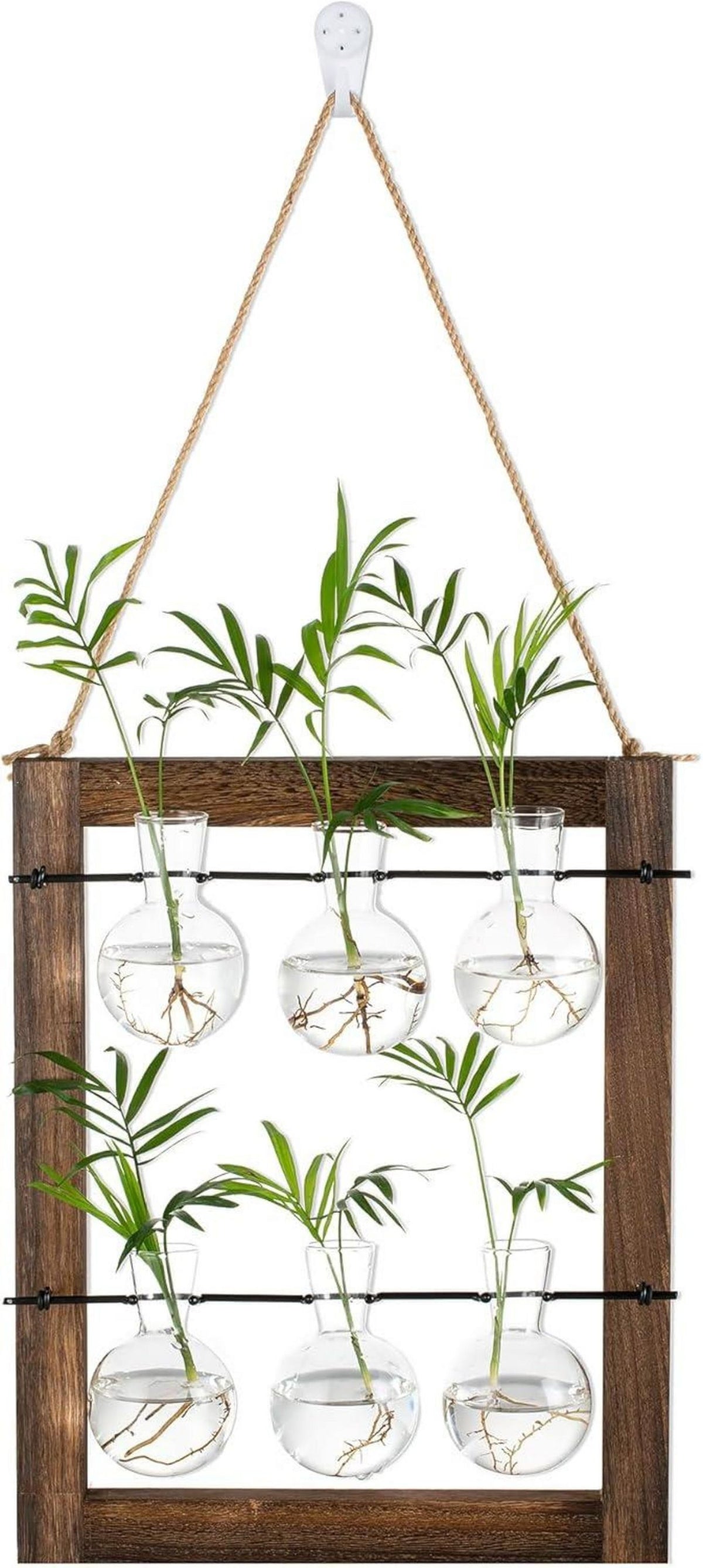 Terrarium Wandvasen Set Holzständer Glasvase Hydrokultur