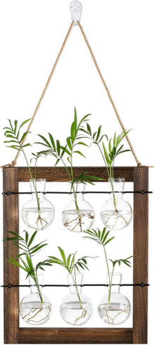 Terrarium Wandvasen Set Holzständer Glasvase Hydrokultur